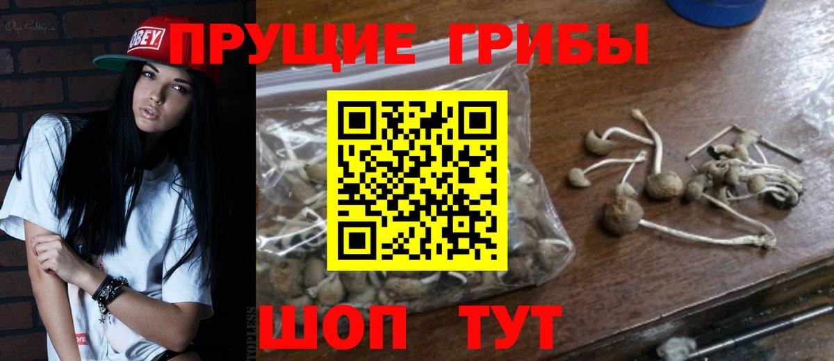 Галлюциногенные грибы Cubensis Заинск